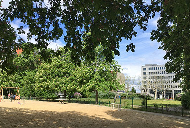 Station 3, Goslarer Platz / Goslarer Ufer: Bettina de la Chevallerie, Deutsche Gartenbau-Gesellschaft 1822 e. V., Kai Giersberg, Büro SWUP und Oliver Schruoffeneger, Bezirksstadtrat Charlottenburg Wilmersdorf, im Gespräch mit Theresa Keilhacker, Architektin
